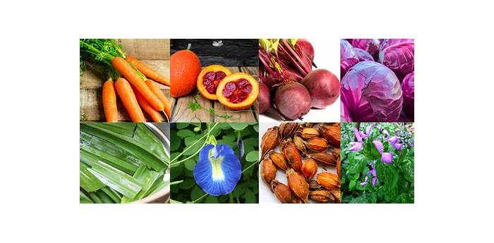 Chất tạo màu tự nhiên trong thực phẩm