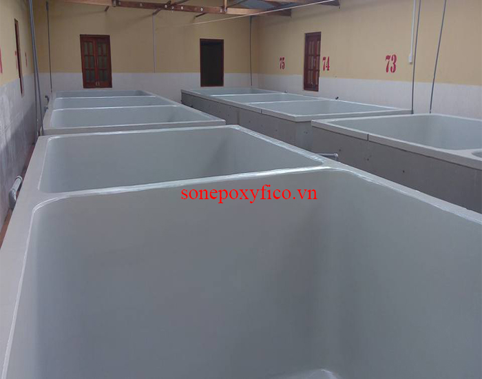 Thi công sơn hồ nuôi tôm